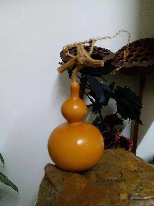 似乎被遗忘的文玩葫芦又古老又好玩盘玩要注意这5点
