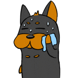 06433cccdae5413fb2bc04b6791c11b5.gif