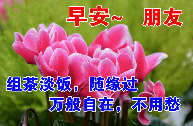 3ff331169e7d4d21bb9f5136ecc5fe93.png