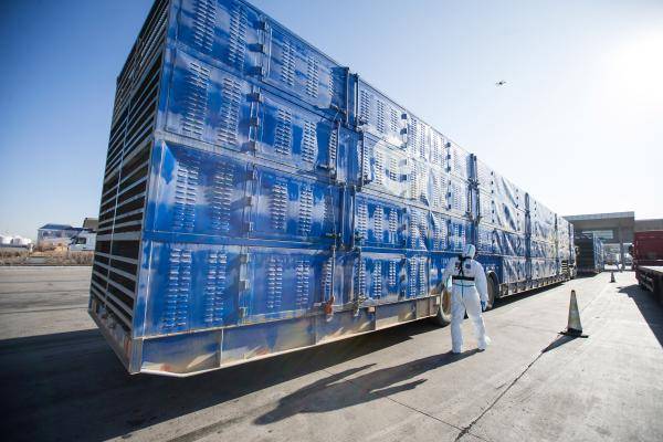 首批|3万只蒙古国捐赠羊，齐了！