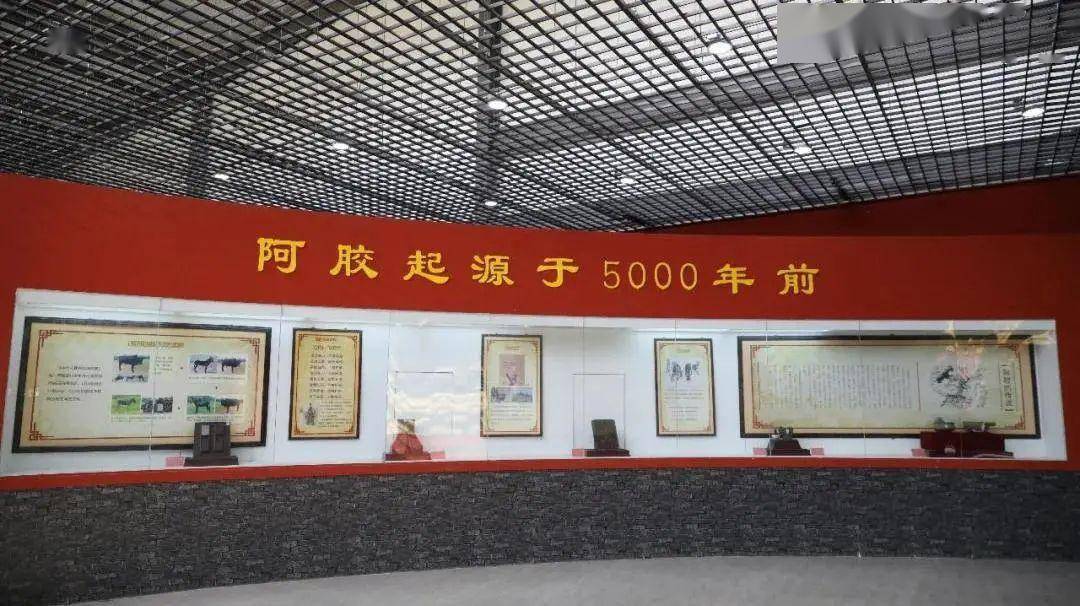 老字号博物馆中国阿胶博物馆国之精粹药中瑰宝一块流传了3000年的滋补