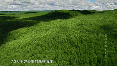 在家陪孩子看9部高分纪录片比旅行还长见识附观看链接