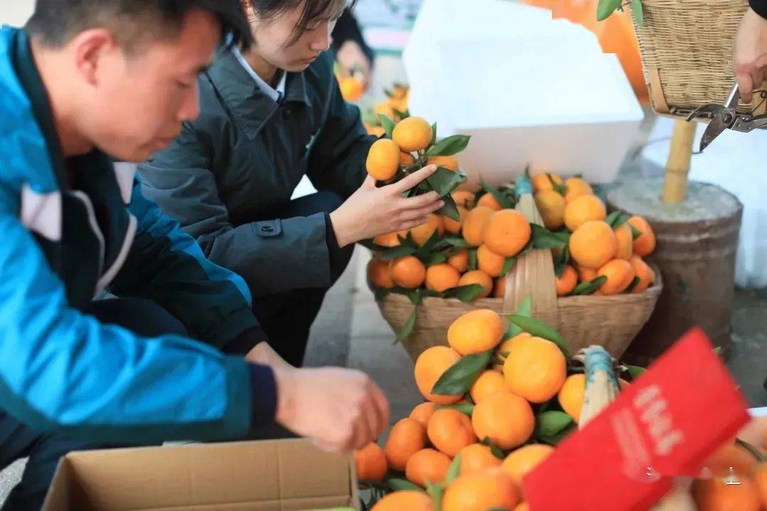 蜂蜜直播间带货 e2373084443740fa9b5d35db1c96e32e.jpeg