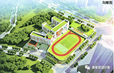 2021年达州市区人口_达州市区图片