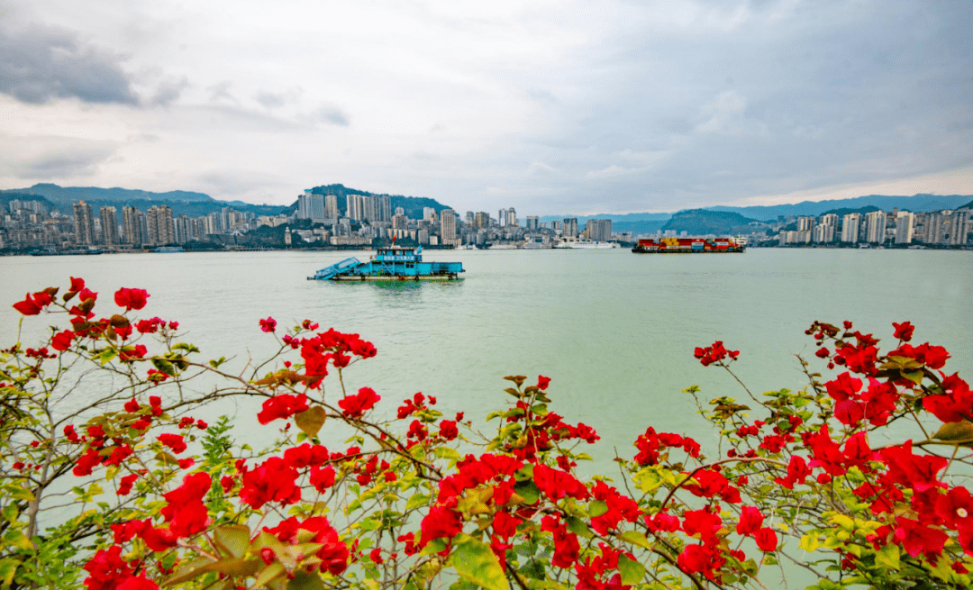 重庆万州 平湖花开醉游人,层林尽染好风光