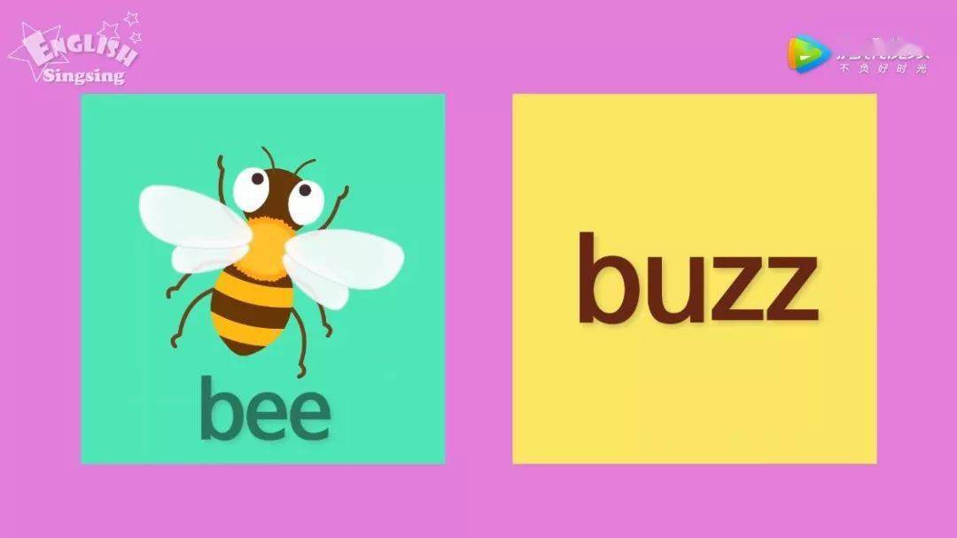 bee buzza bee makes a buzz sound.一只蜜蜂嗡嗡叫