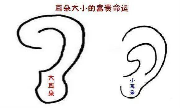 脸型|九玉：耳朵越大，福气越大？小耳朵戴耳饰，漂亮还纳福！