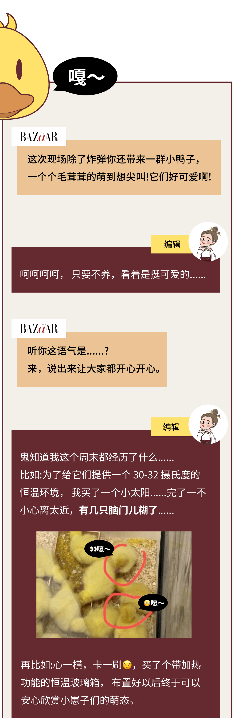 鸭子|吃了 20 多年的鸭子，没想到有一天被它啄了 20 多下