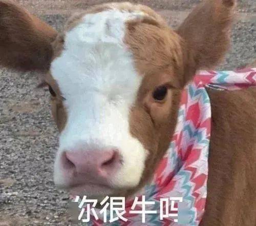 蒙淇淇|E句话看天下丨凡尔赛公主为她的“艺术夸张”道歉了？