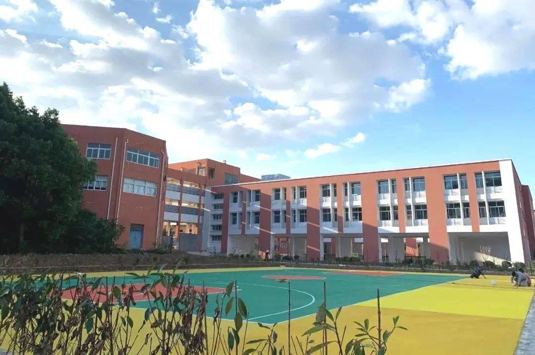 图丨新区实验小学 近年来,大港常住人口逐年增加,小学生入学成为周边