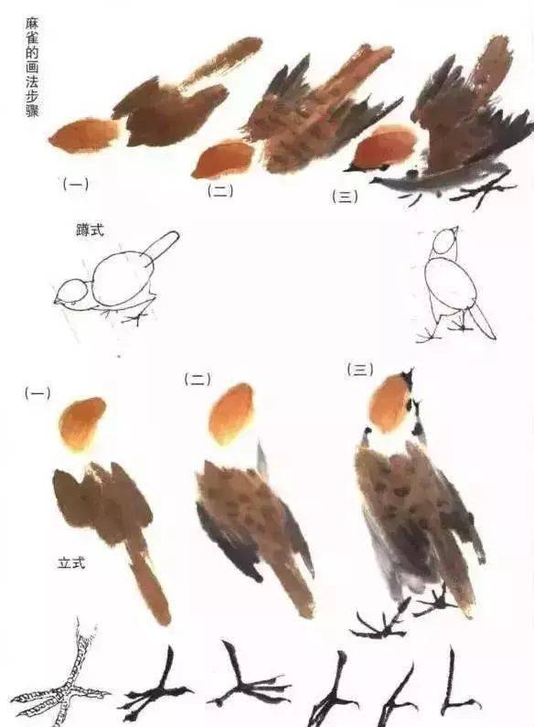 【国画教程】麻雀,太平鸟绘画技法详解_画法