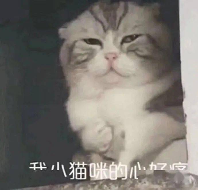 蒙淇淇|E句话看天下丨凡尔赛公主为她的“艺术夸张”道歉了？