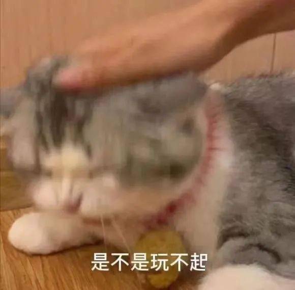 蒙淇淇|E句话看天下丨凡尔赛公主为她的“艺术夸张”道歉了？