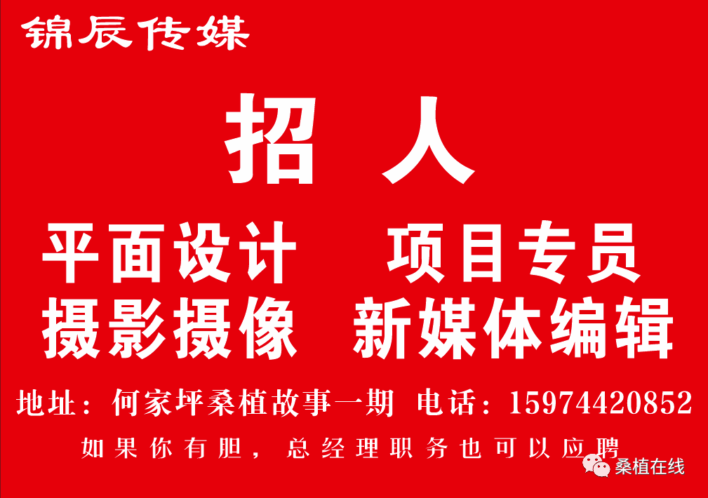 希望招聘_招聘信息 期待您的加入