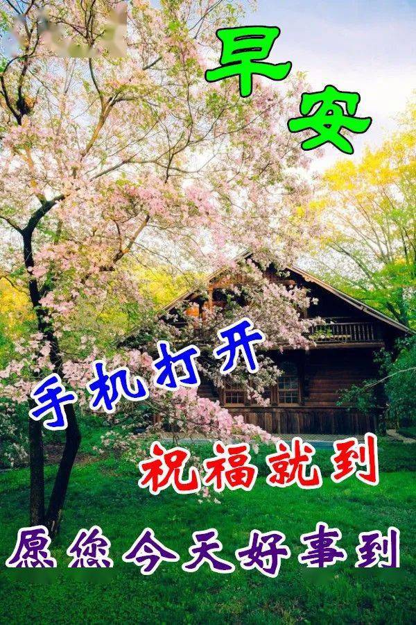 11月15日最漂亮早上好动态表情图片大全,早晨好动图美图大全