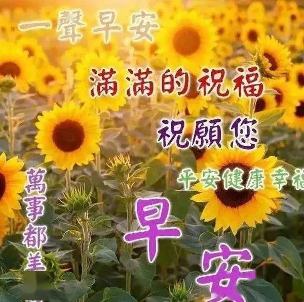 开心早上好问候语:一声关切的问候,一段温馨的真情!
