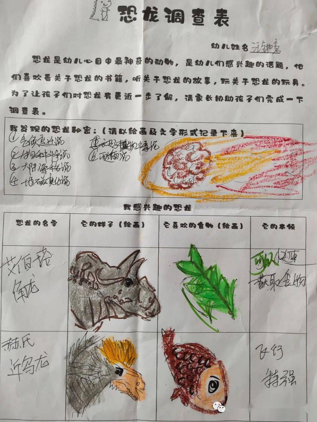 们协助孩子们一起积累资料查阅更多关于恐龙的知识,并完成了调查表