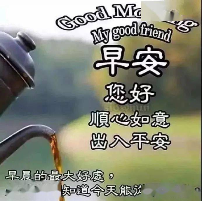 开心早上好问候语:一声关切的问候,一段温馨的真情!