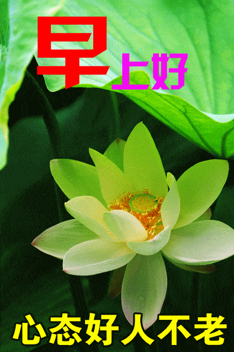 465_700 竖版 竖屏