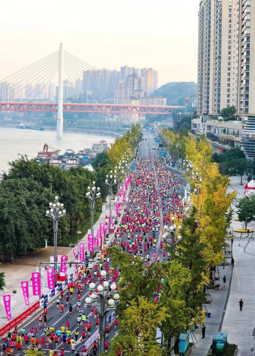 蜀黍护跑重庆马拉松:赛场外的风景同样迷人!