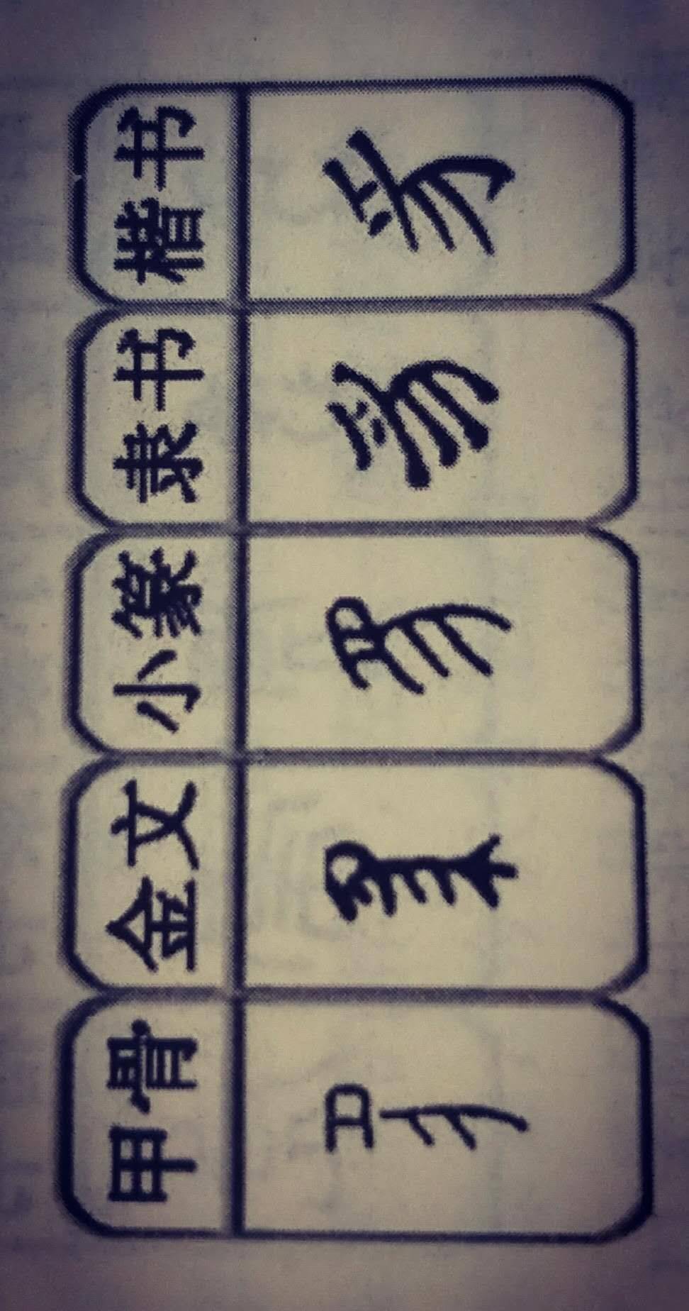 甲骨文和金文的特点很明显,  都画了一只张开大口,且它的整个身子的