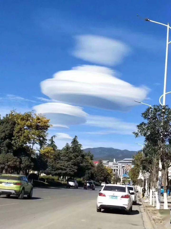 这辈子也没见过!