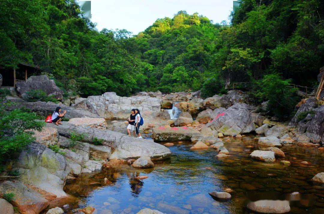 十万大山森林公园