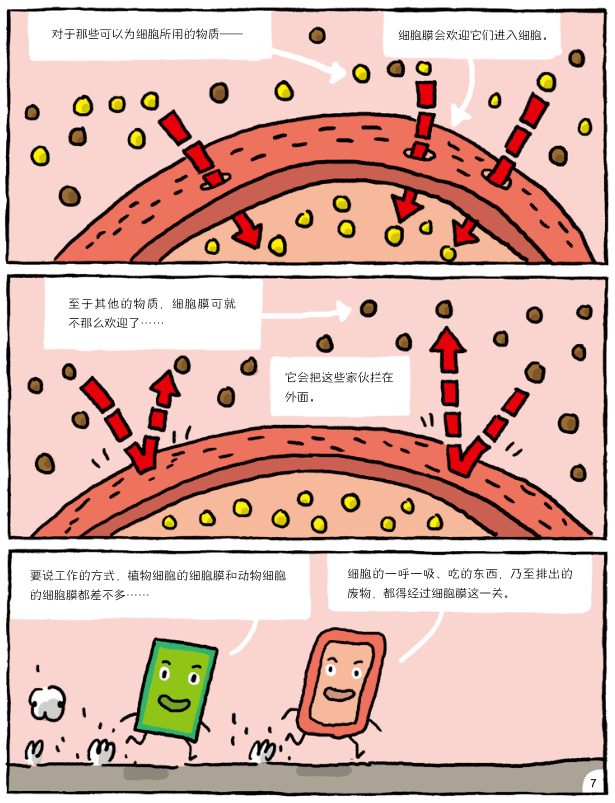 细胞膜——控制物质进出.