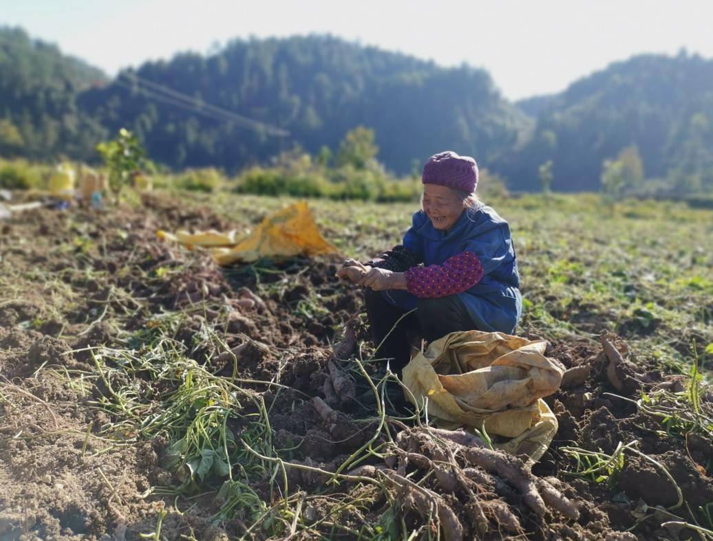 中国农民有多少人口_人社部 上半年补发农民工工资145亿