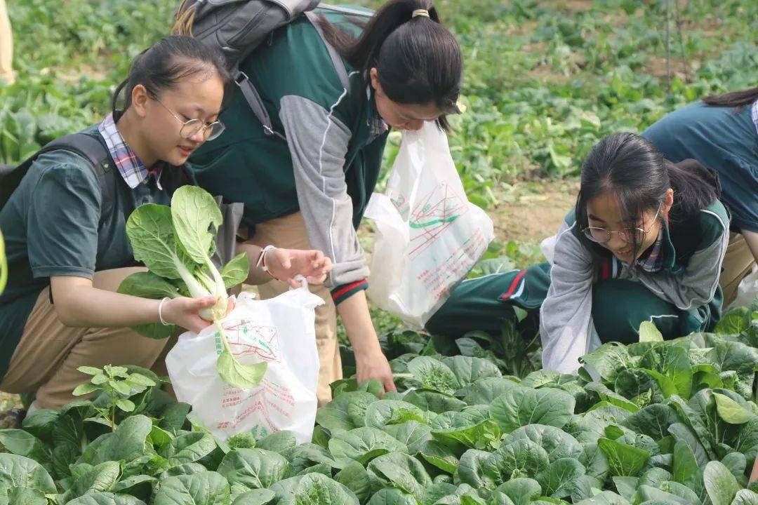 闪耀61明珠研学旅行促成长最美课堂在路上明珠中英文学校2020秋季