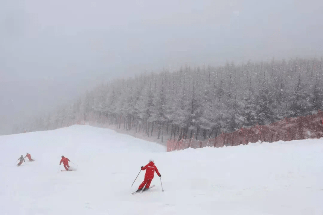 你那里下雪了吗?发来看看? 转自:张家口发布
