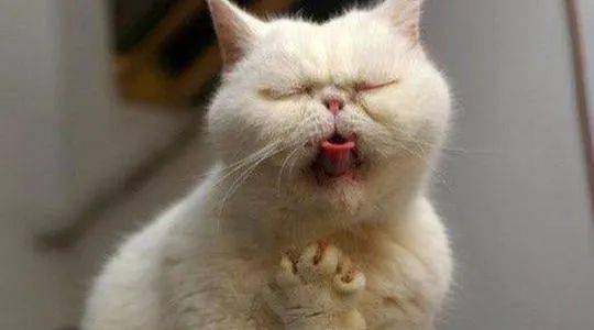 宝宝|是什么原因造成的？宝宝“口气”逼人