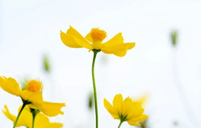 5d8995cc204b47c7a53c1a0ac6ef5019.png