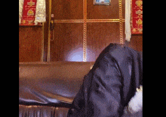 他到底要不要进军娱乐圈啊?_丁真