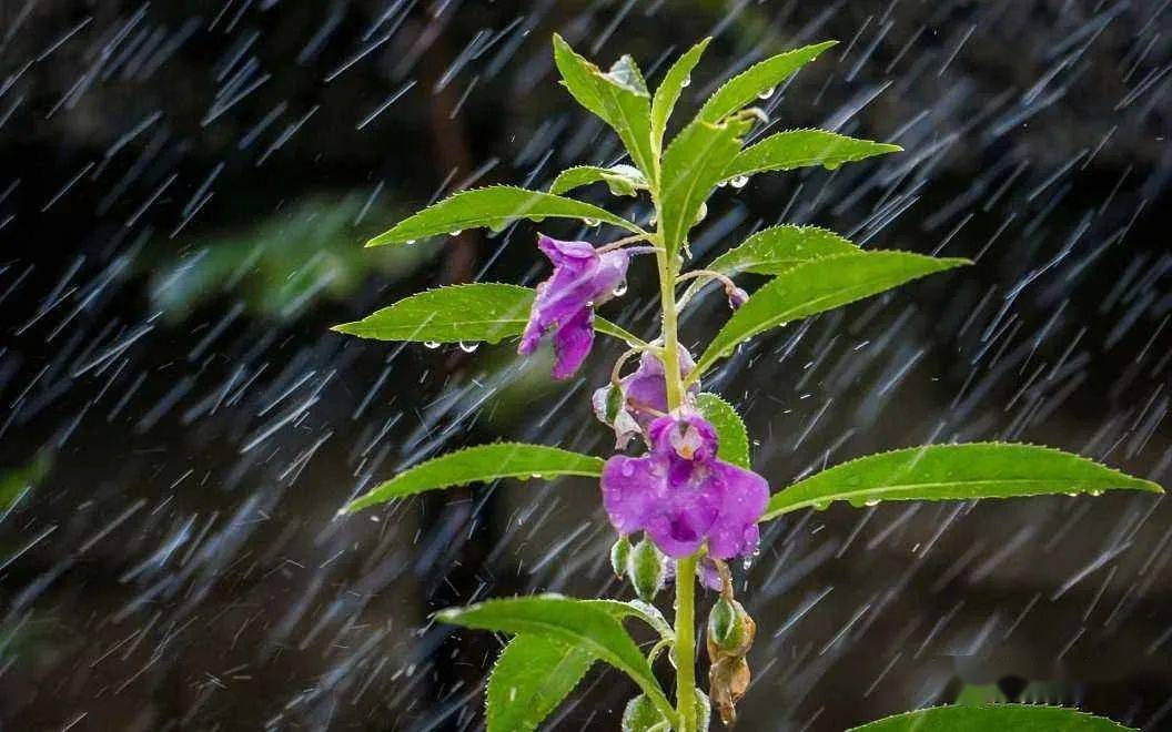 【雨一直下】跌宕起伏,优美动听(萨克斯唯美音乐)