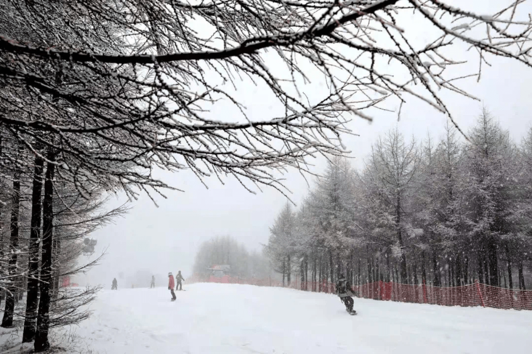 你那里下雪了吗?发来看看? 转自:张家口发布