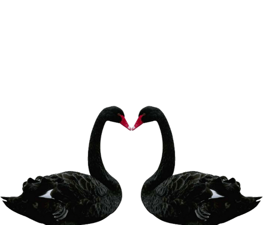 bfc9258d00f14be28ae157e822177a5f.png