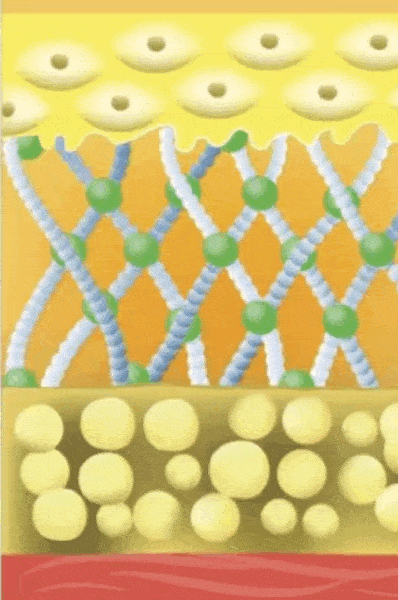 398_600 竖版 竖屏