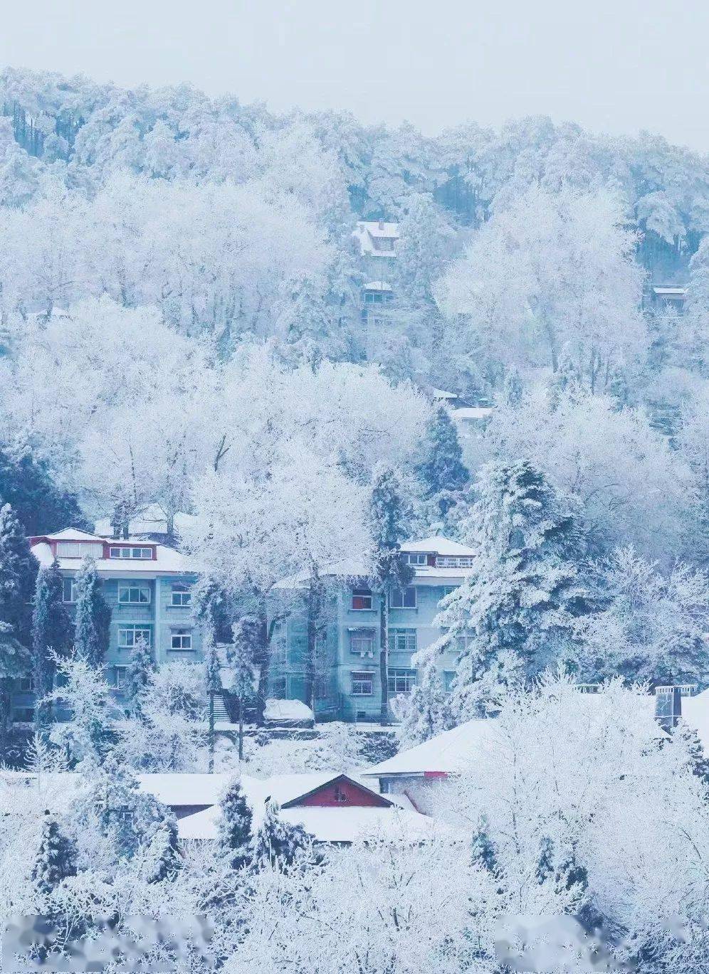 雪凇,雨凇点染整座山这是庐山酝酿这至美冬天的源头白居易眷恋之地