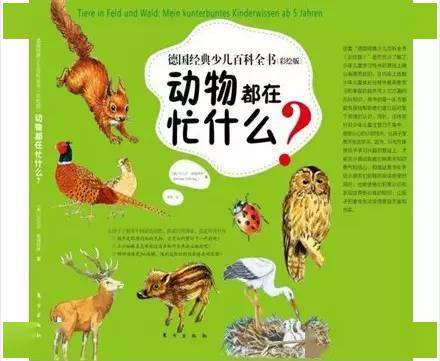 《德国经典少儿百科全书（彩绘版）》打开孩子的眼睛-乐鱼电竞(图3)