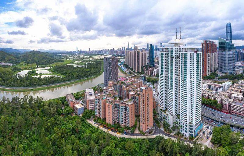 《罗湖区2020年基层治理工作方案》《深圳市罗湖区深化街道体制改革