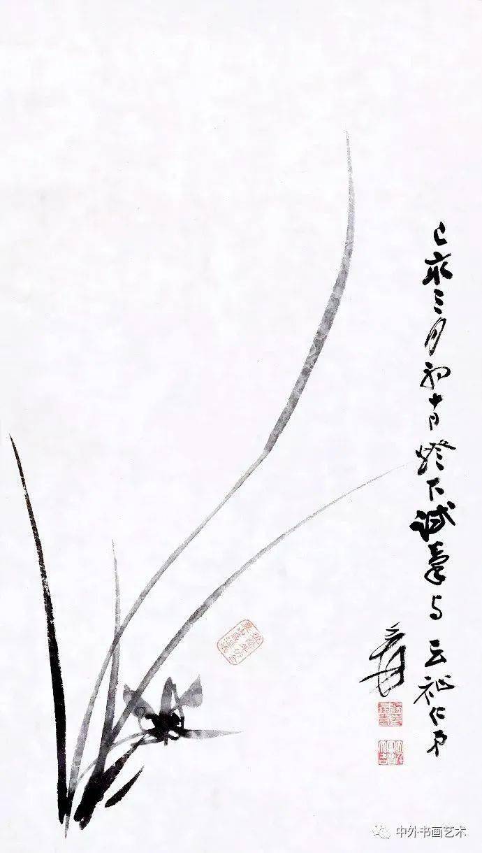 张大千笔下的兰花,轻盈,灵动!