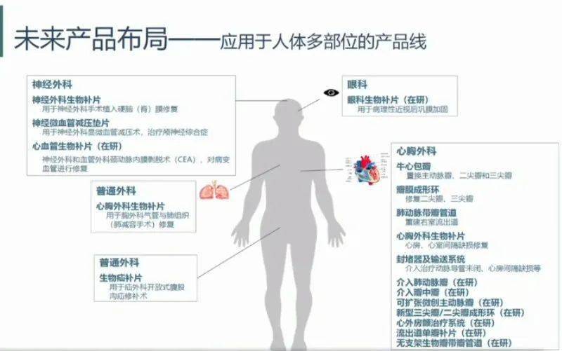 空白|心脏的阀门坏了怎么办?这家科创板企业创始人30年潜心“补心”,六大产品填补国内空白!|全景云调研