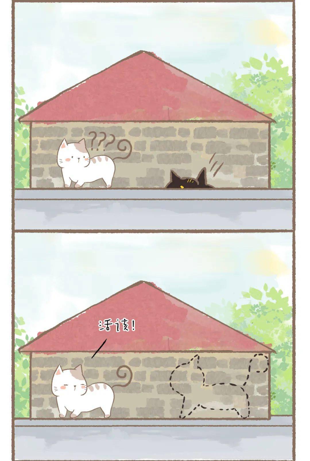 白猫与黑猫