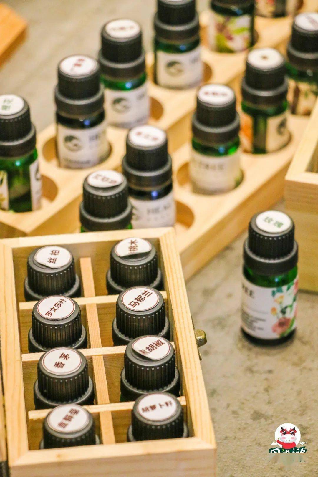 护理|太酥服了！福州仙女们纷纷打卡的变美宝地，68元做2次名媛级美肤护理！