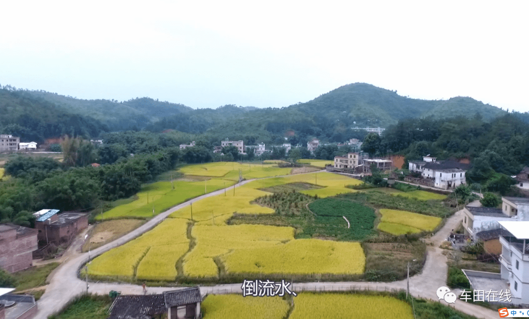 美丽的大同我的家(车田镇大同村宣传片)