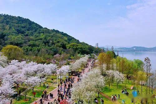 黄石团城山公园位于磁湖之滨,杭州路畔.