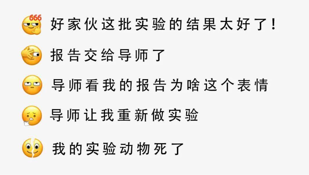 网友们的微信表情段子太搞笑了!