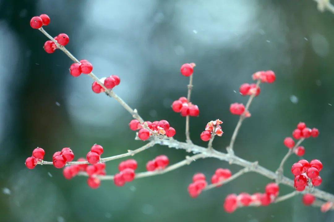 2020年平泉市中考成_平泉市中公教育举办省考公益体验课活动(2)