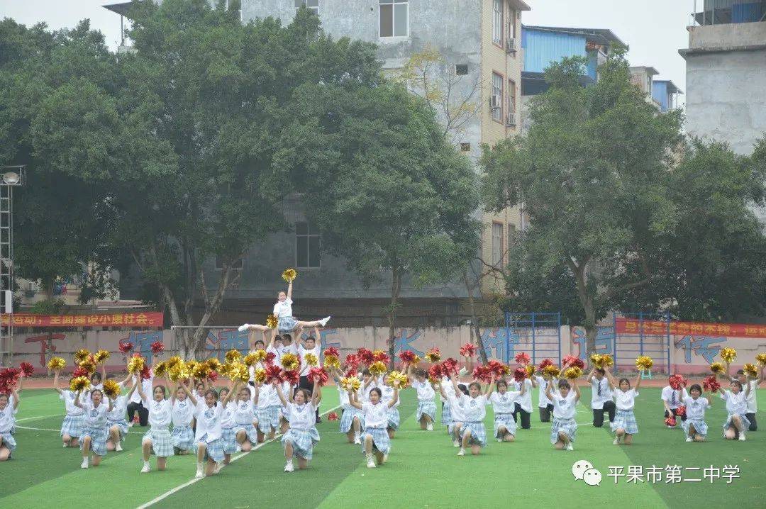 愿平果二中腾飞永不止步!返回搜狐,查看更多